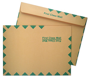 9 x 12 Booklet 28lb Brown Kraft First Class Mail Green Diamond Border