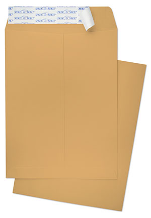 10 X 13 Catalog 28lb Brown Kraft Peel And Seel Catalog Envelopes Paoli Envelope 10x13 Catalog Envelope Template