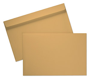 6 1/2 x 9 1/2 Booklet 28lb Brown Kraft