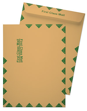 9 x 12 Catalog 28lb Brown Kraft First Class Mail Green Diamond Border